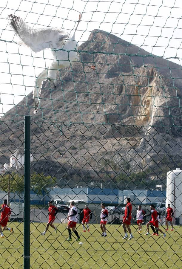 Primer día de entrenamiento de Kiko Femenia