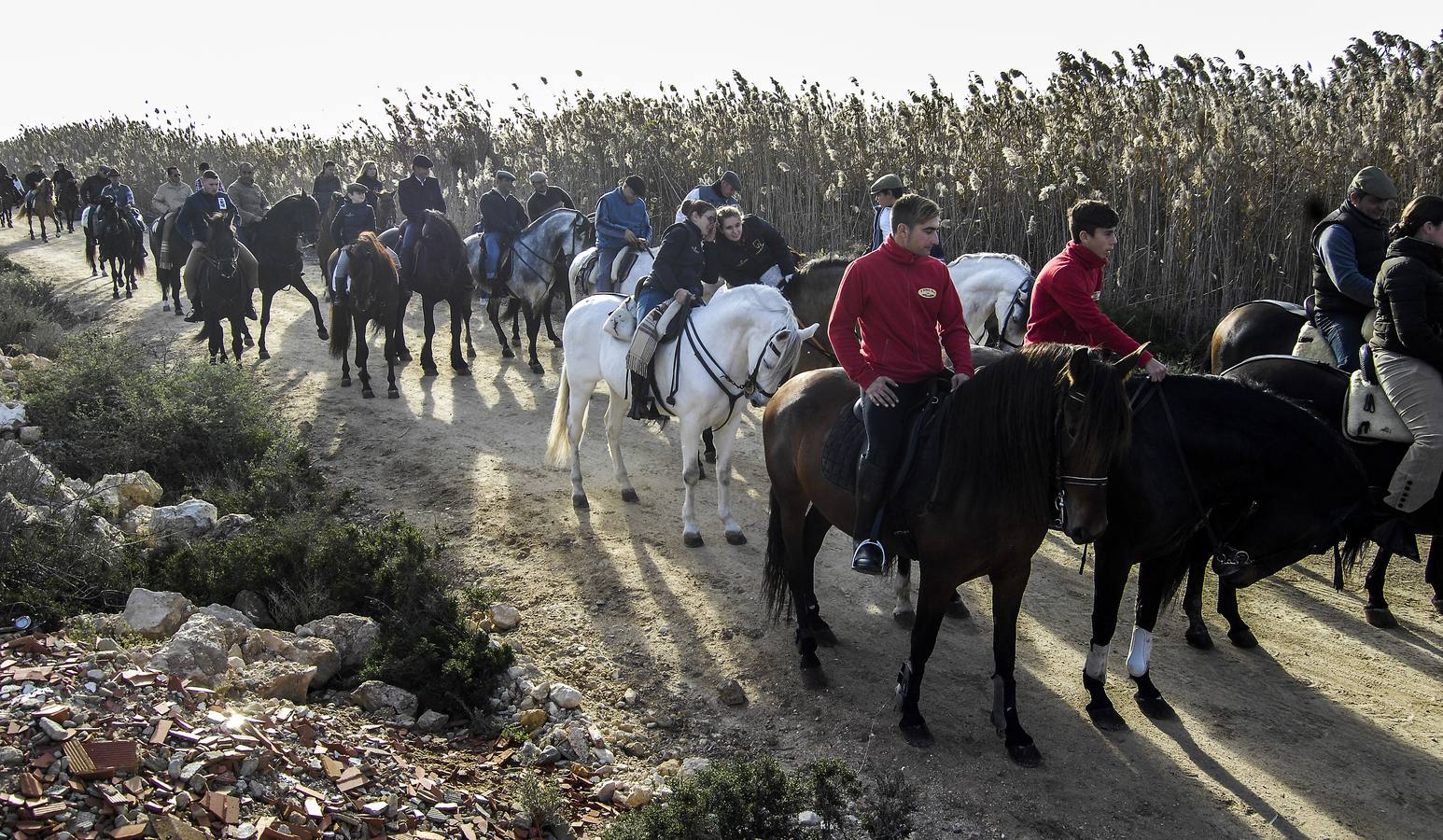 Romería de la Venida de la Virgen