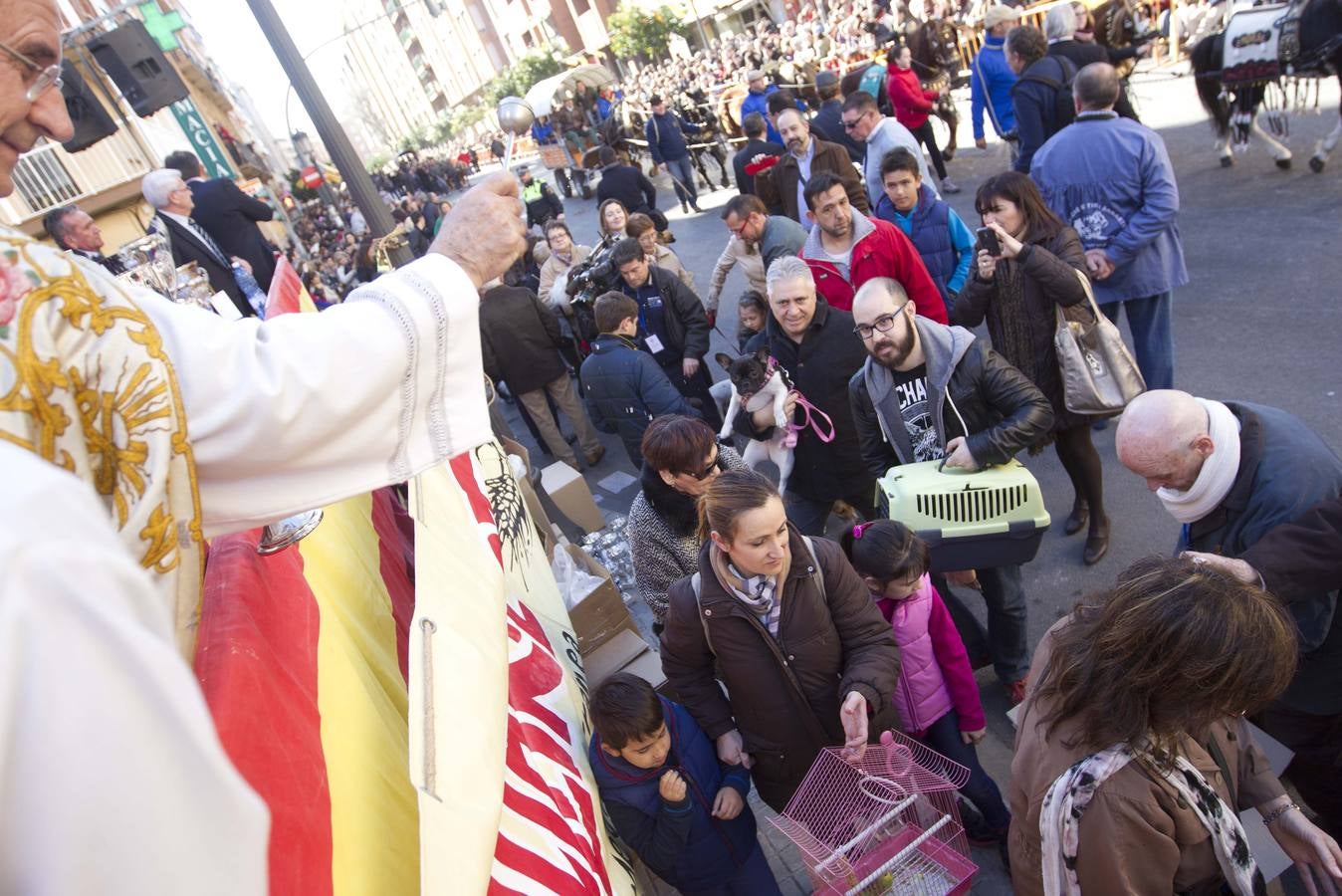 San Antonio 2014: bendición de mascotas en Valencia