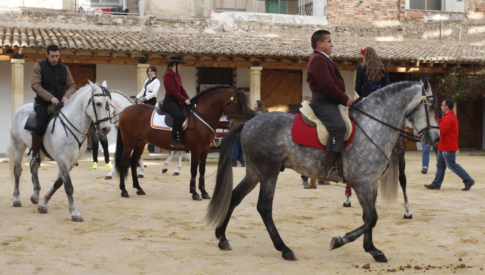 Día de San Antón en Alicante