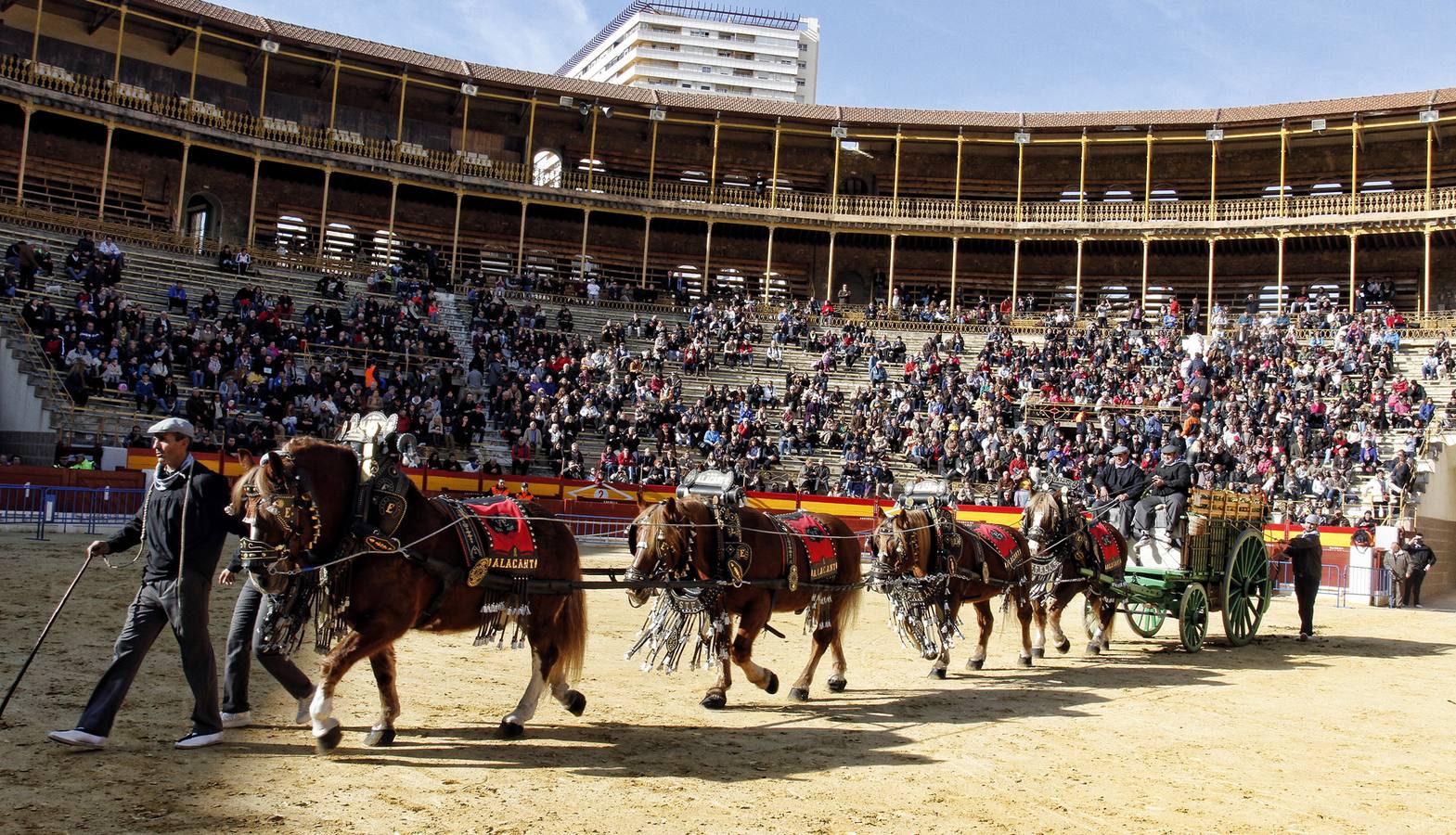 Día de San Antón en Alicante