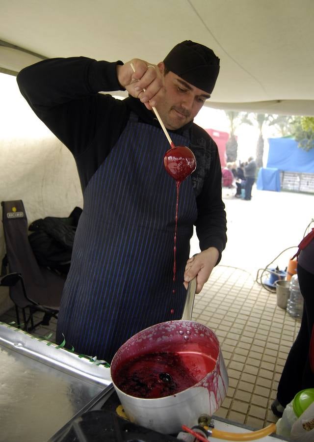 Celebración de San Antón en Elche