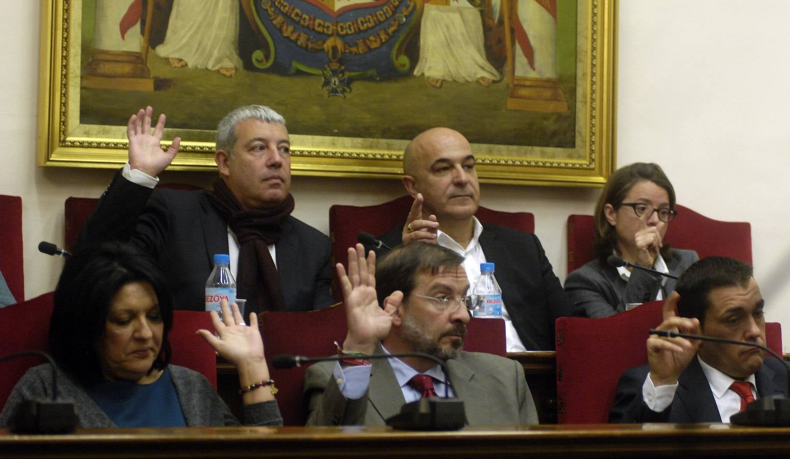 Pleno del Ayuntamiento de Elche