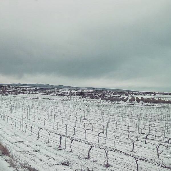 Nieve en Fuenterrobles. 