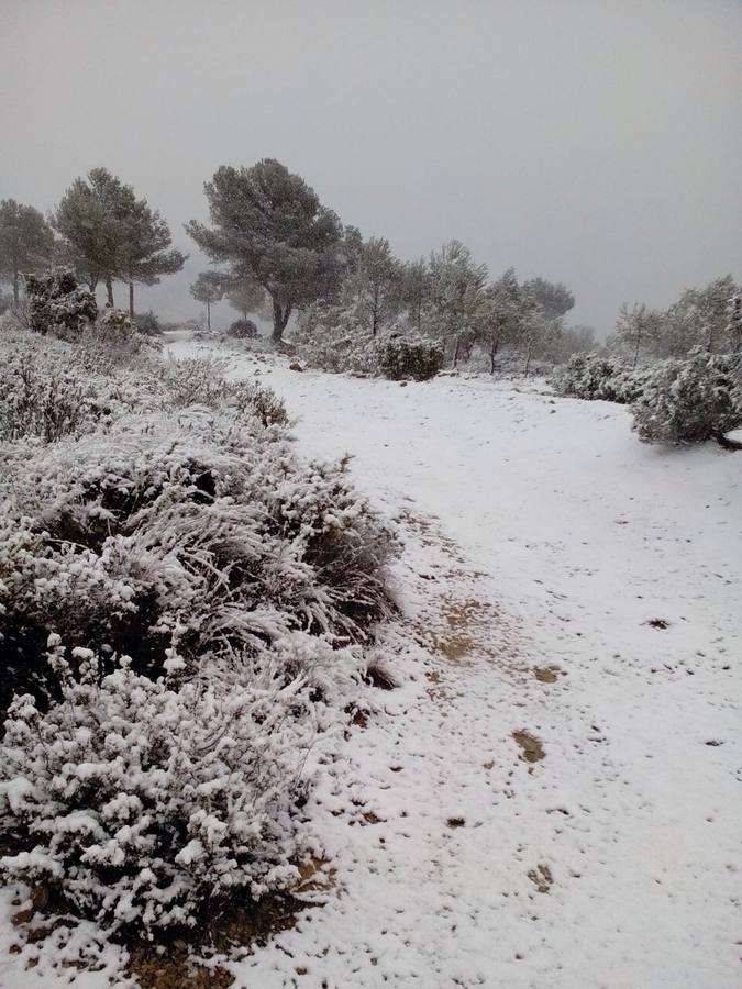 Nieve en la Vall de Laguart. 