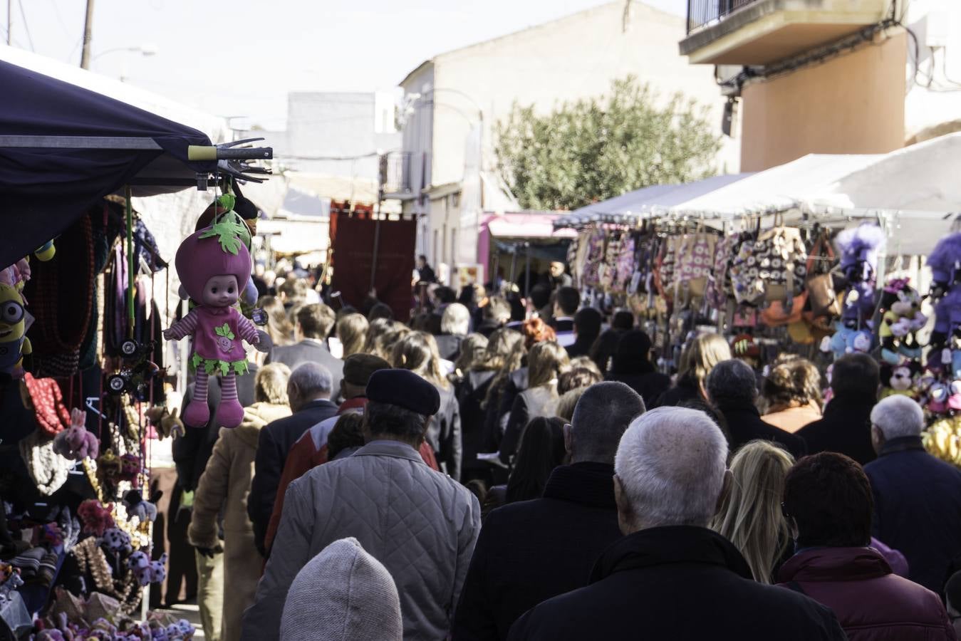 Romería de Santa Águeda en Catral