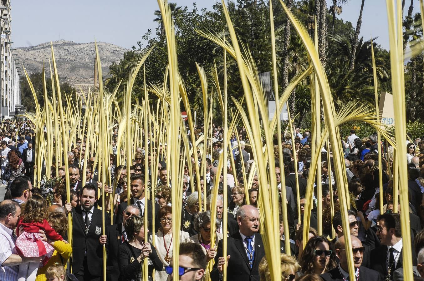 Procesión de Domingo de Ramos en Elche