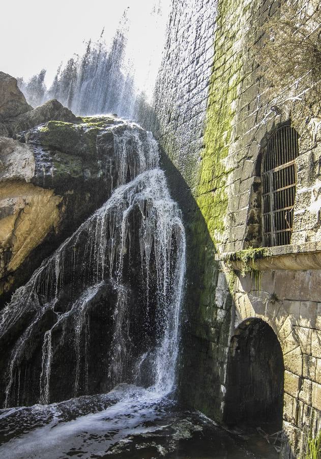 Pantano de Elche