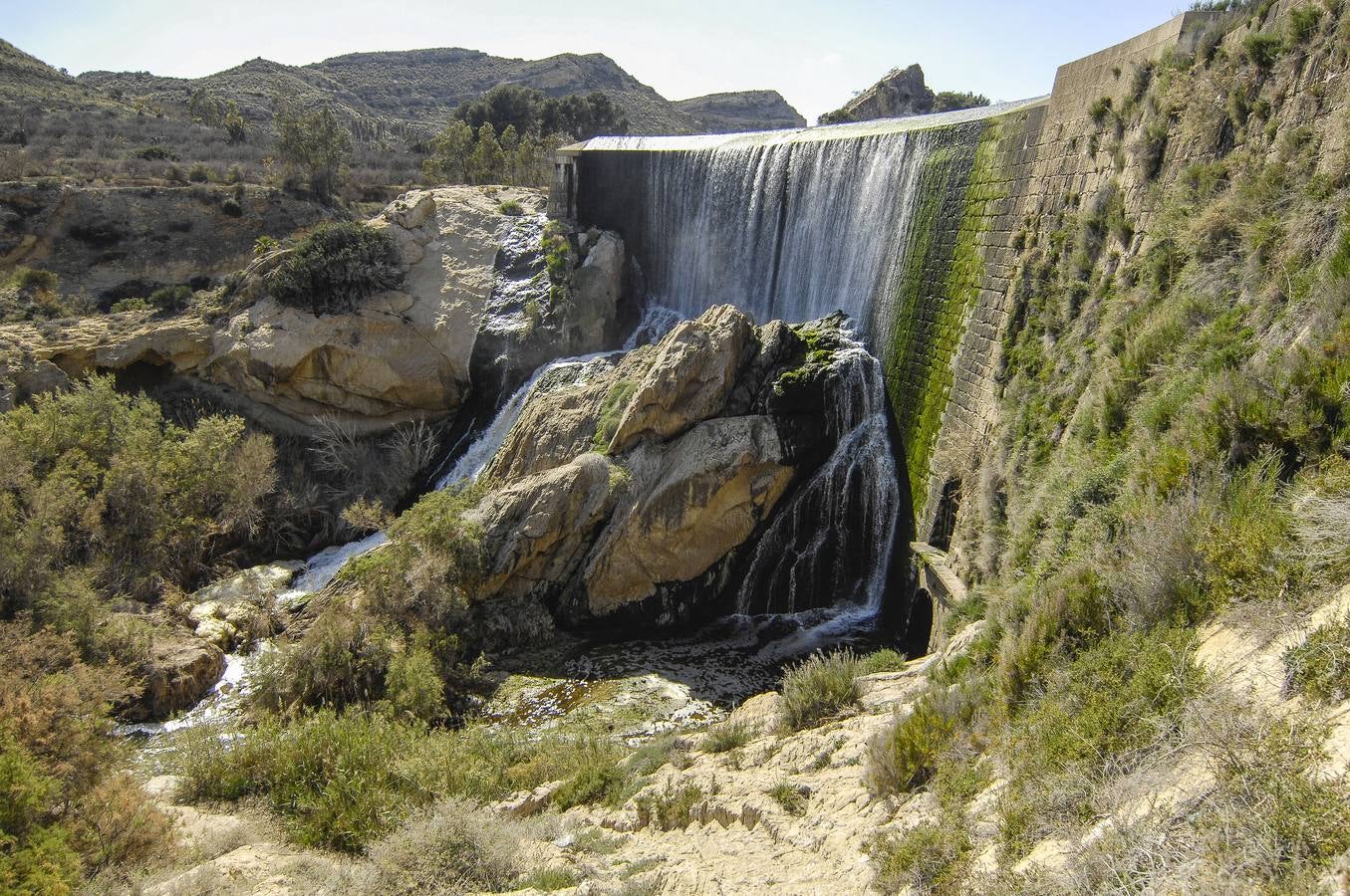 Pantano de Elche