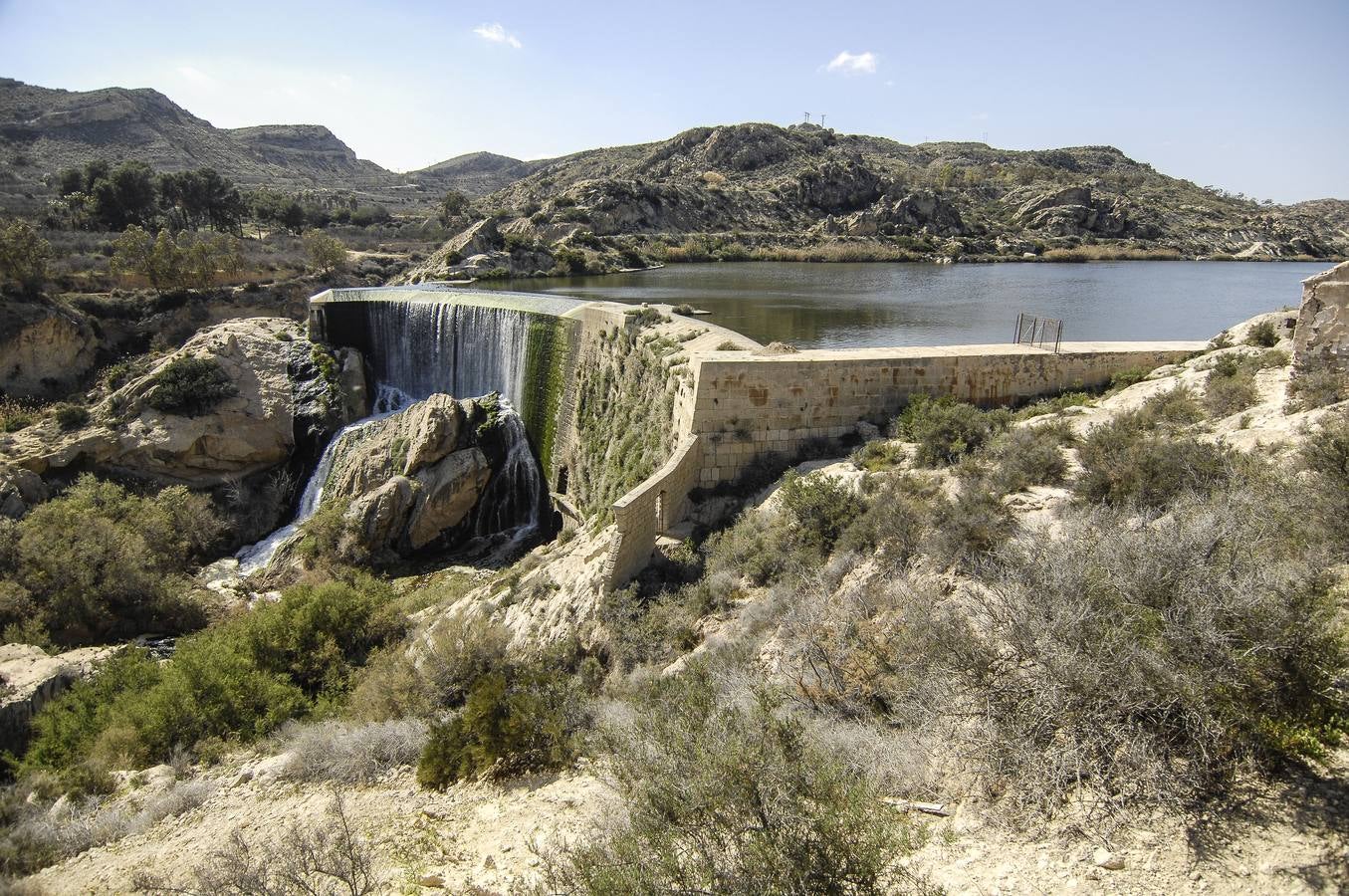 Pantano de Elche