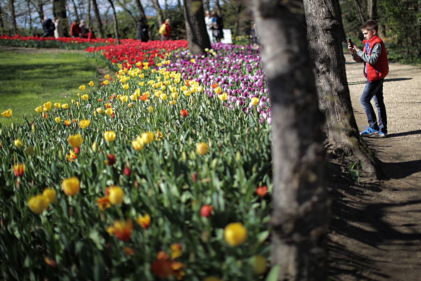 El color de la primavera