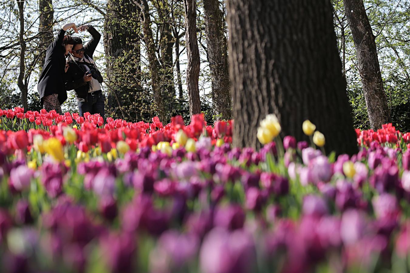 El color de la primavera