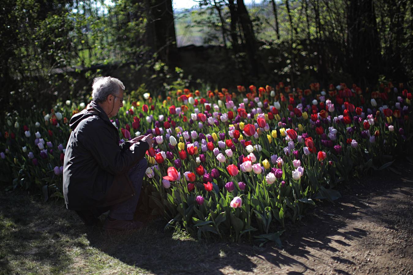 El color de la primavera