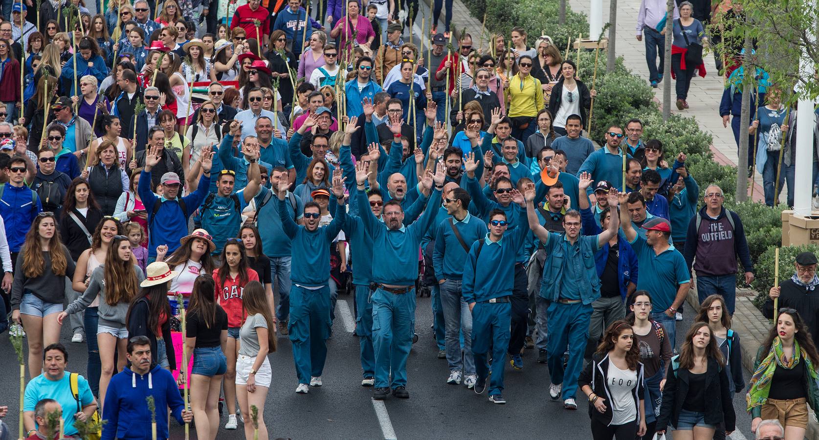 Romería de la Santa Faz (I)