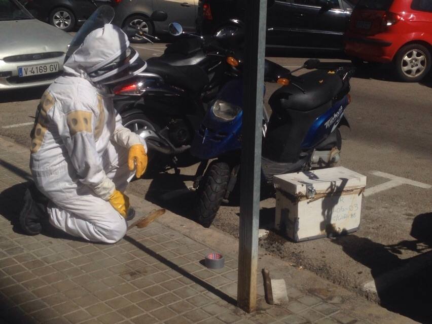 Un enjambre de abejas en una moto moviliza a los bomberos