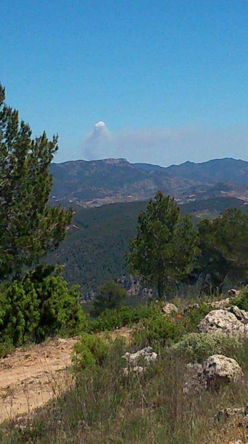 Un incendio en Segorbe amenaza a los montes valencianos