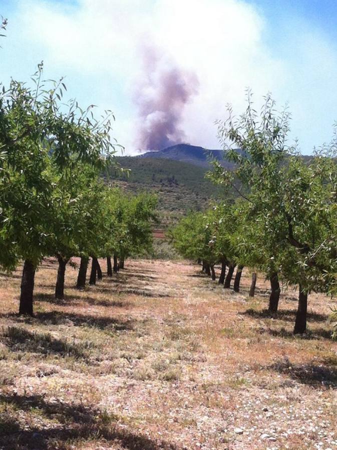 Un incendio en Segorbe amenaza a los montes valencianos