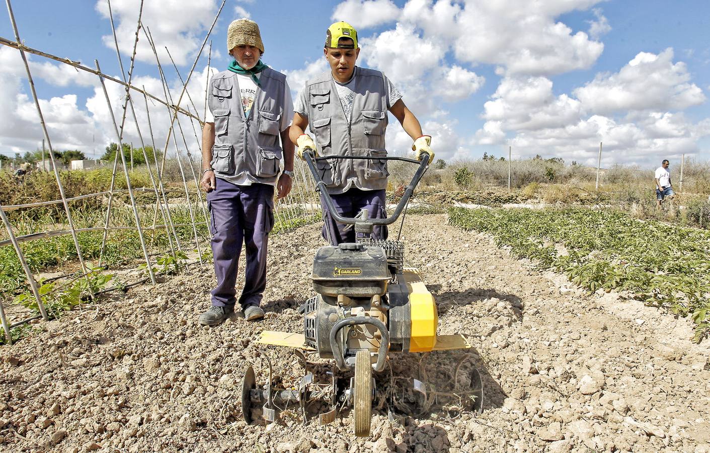 Calabacines para la esperanza