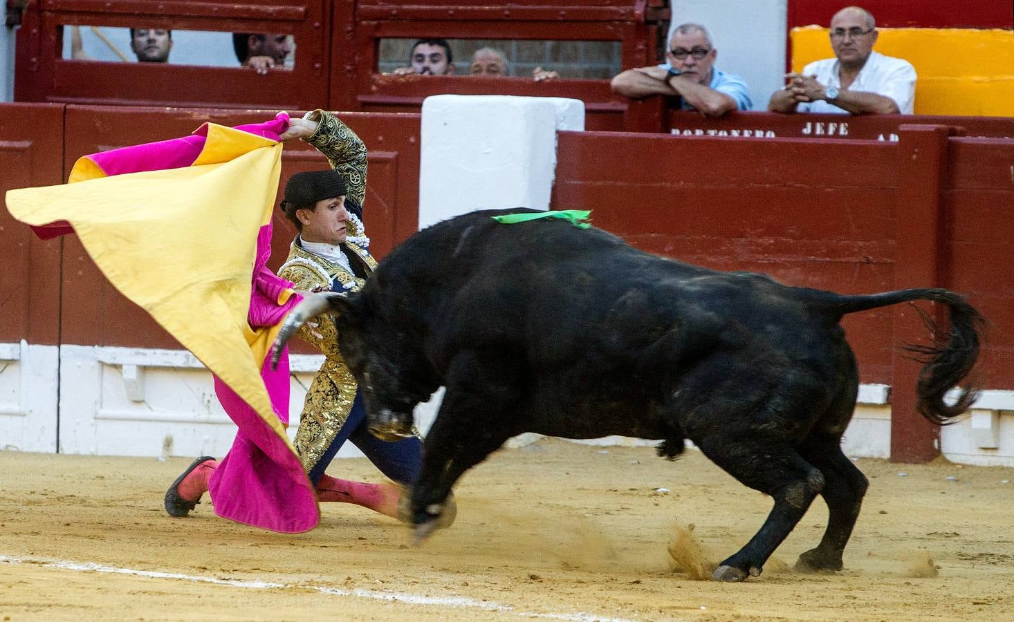 Novillada en la Plaza de Toros de Alicante