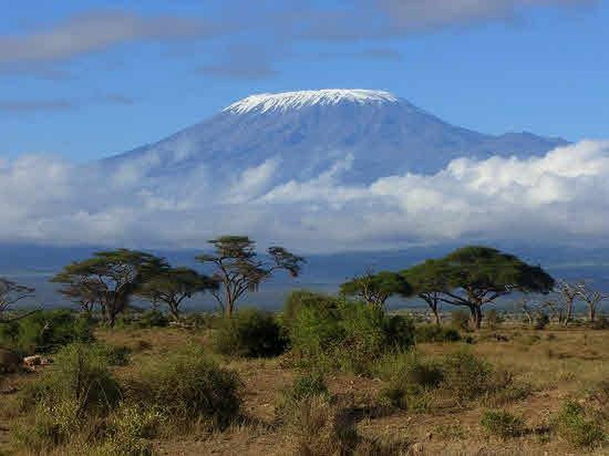 Cima del monte Kilimanjaro. 