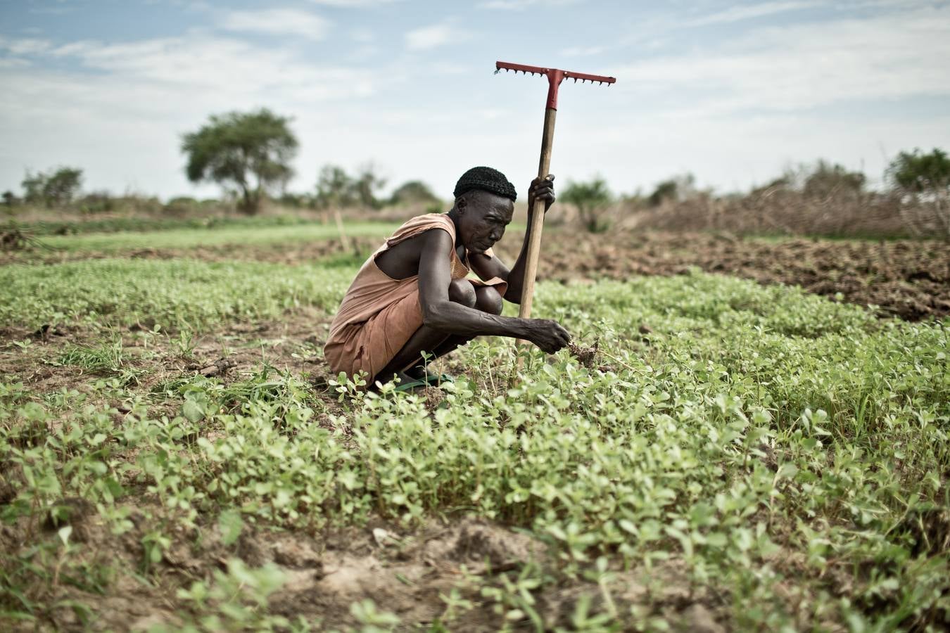 Guerra y hambre en el país más joven del mundo