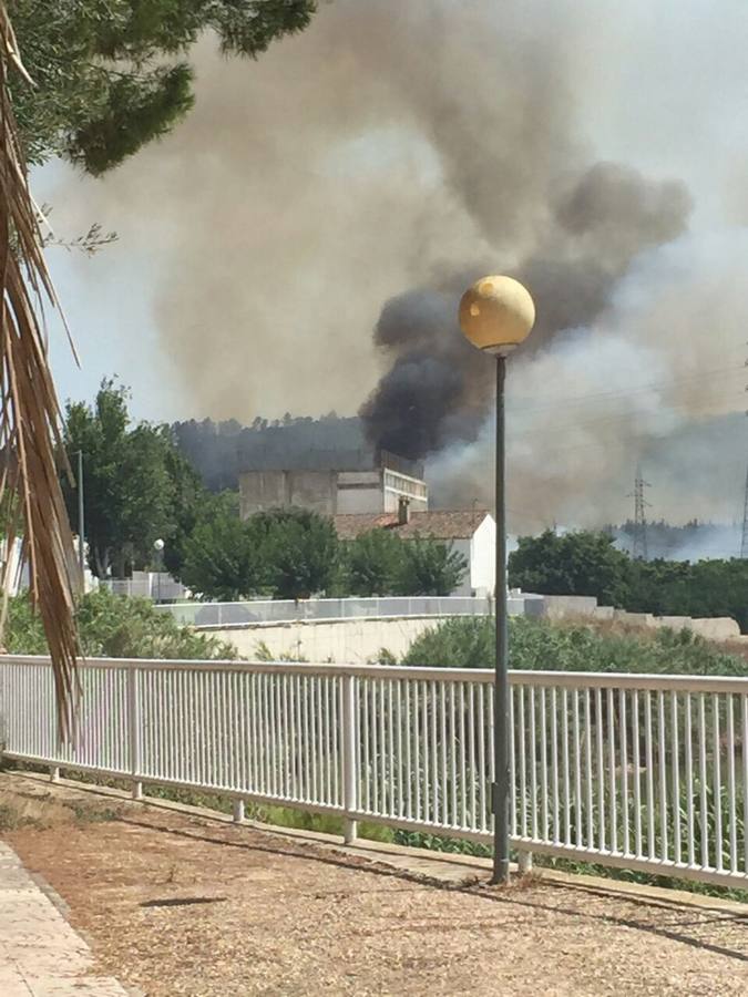 Incendio en Manuel (Ribera Alta)