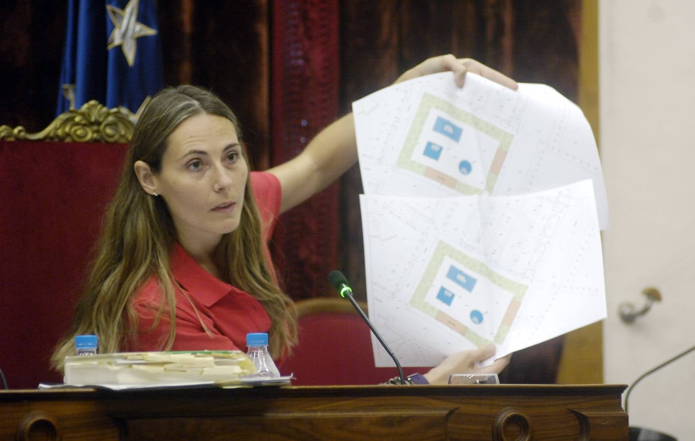 Pleno ordinario del Ayuntamiento de Elche