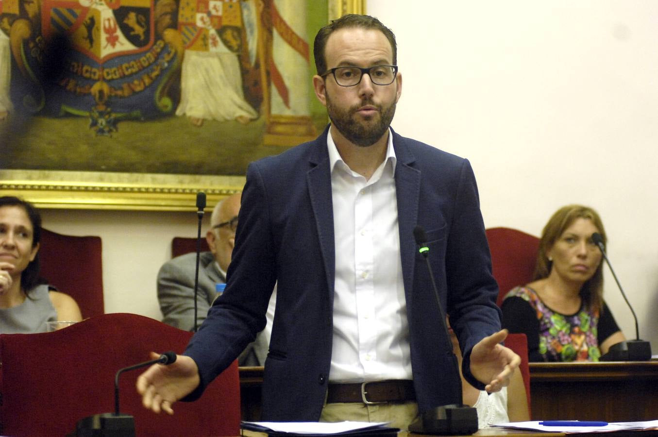 Pleno ordinario del Ayuntamiento de Elche