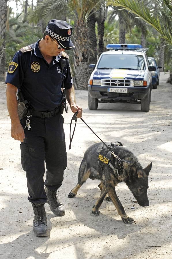 Unidad canina de la Policía Local de Elche