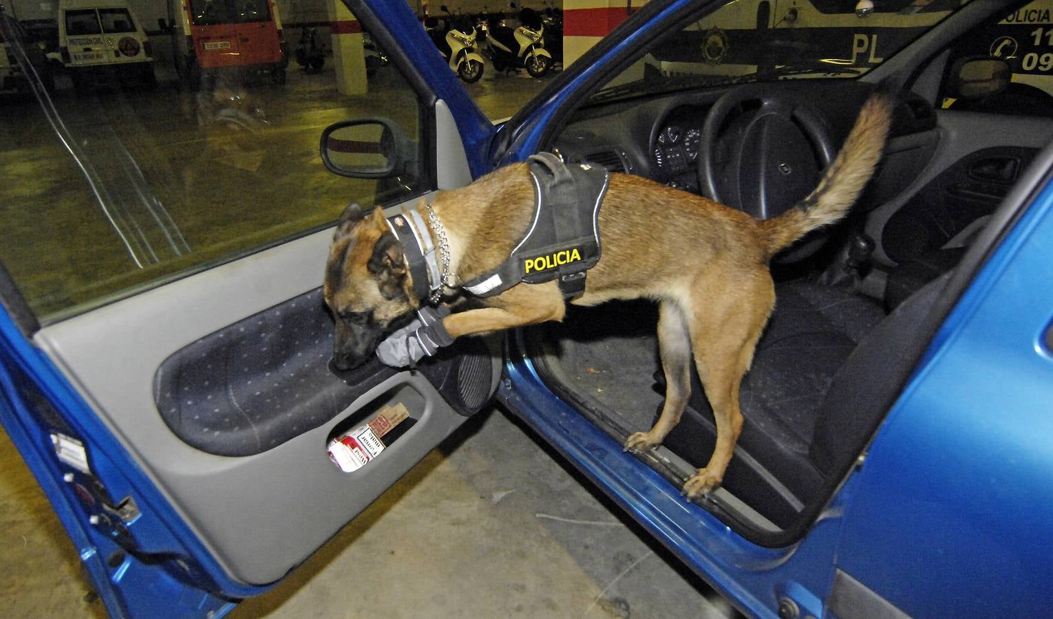 Unidad canina de la Policía Local de Elche