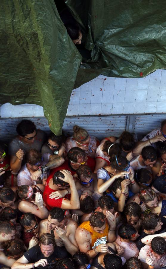 Tomatina 2015