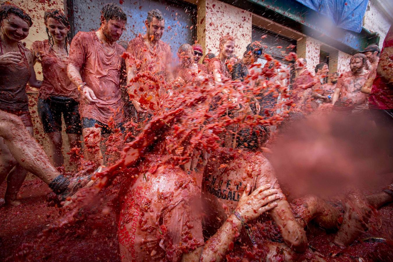 Tomatina 2015