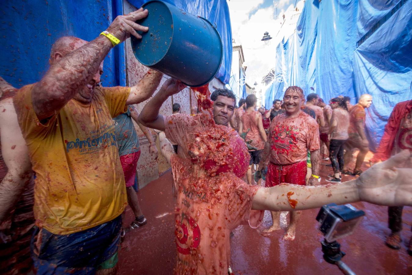 Tomatina 2015