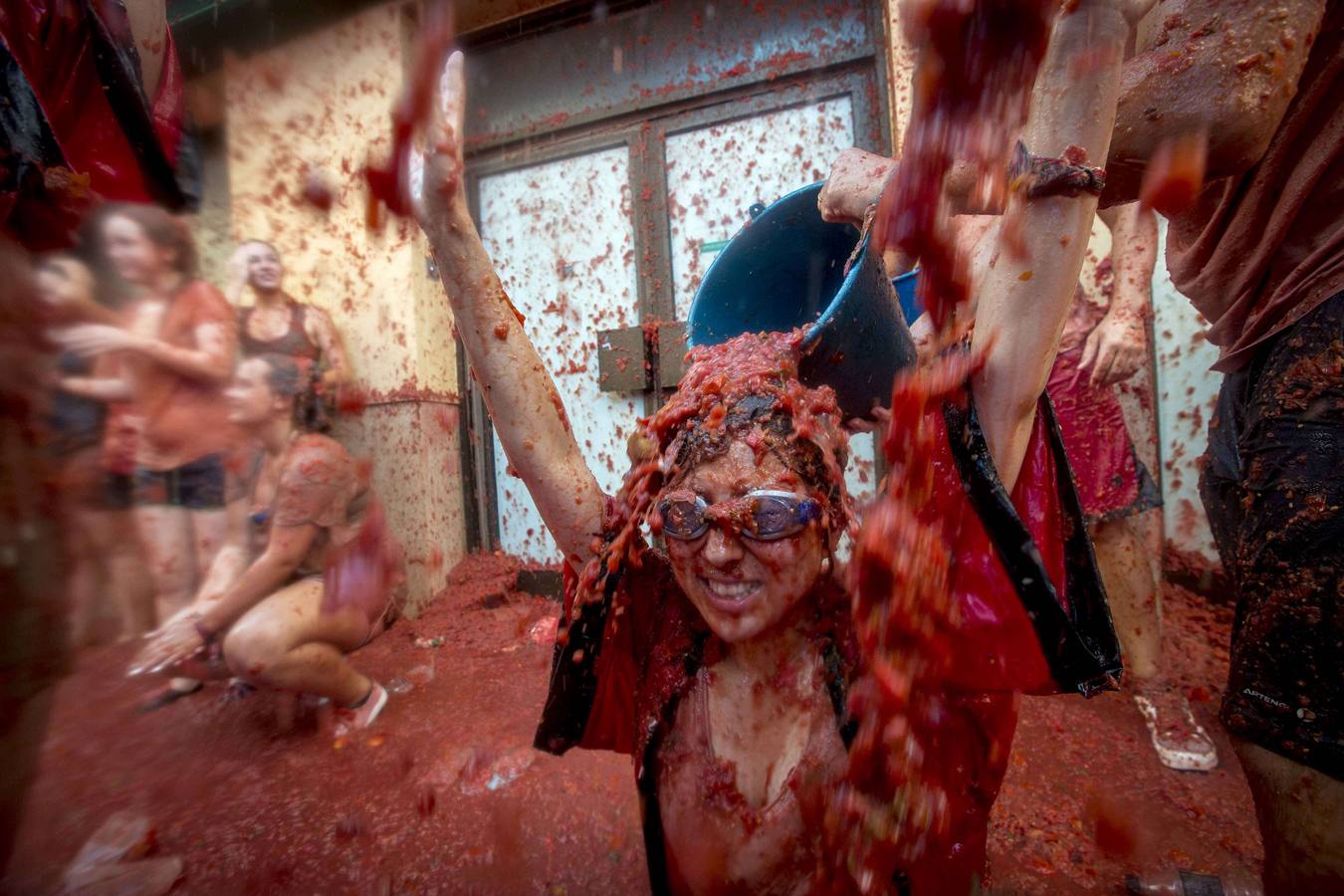 Tomatina 2015