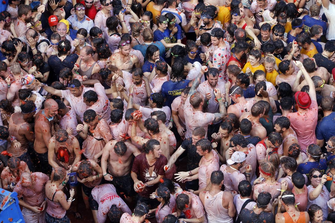 Tomatina 2015 (III)