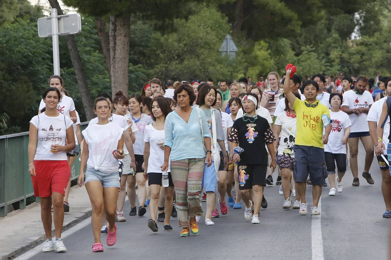 Tomatina 2015 (III)