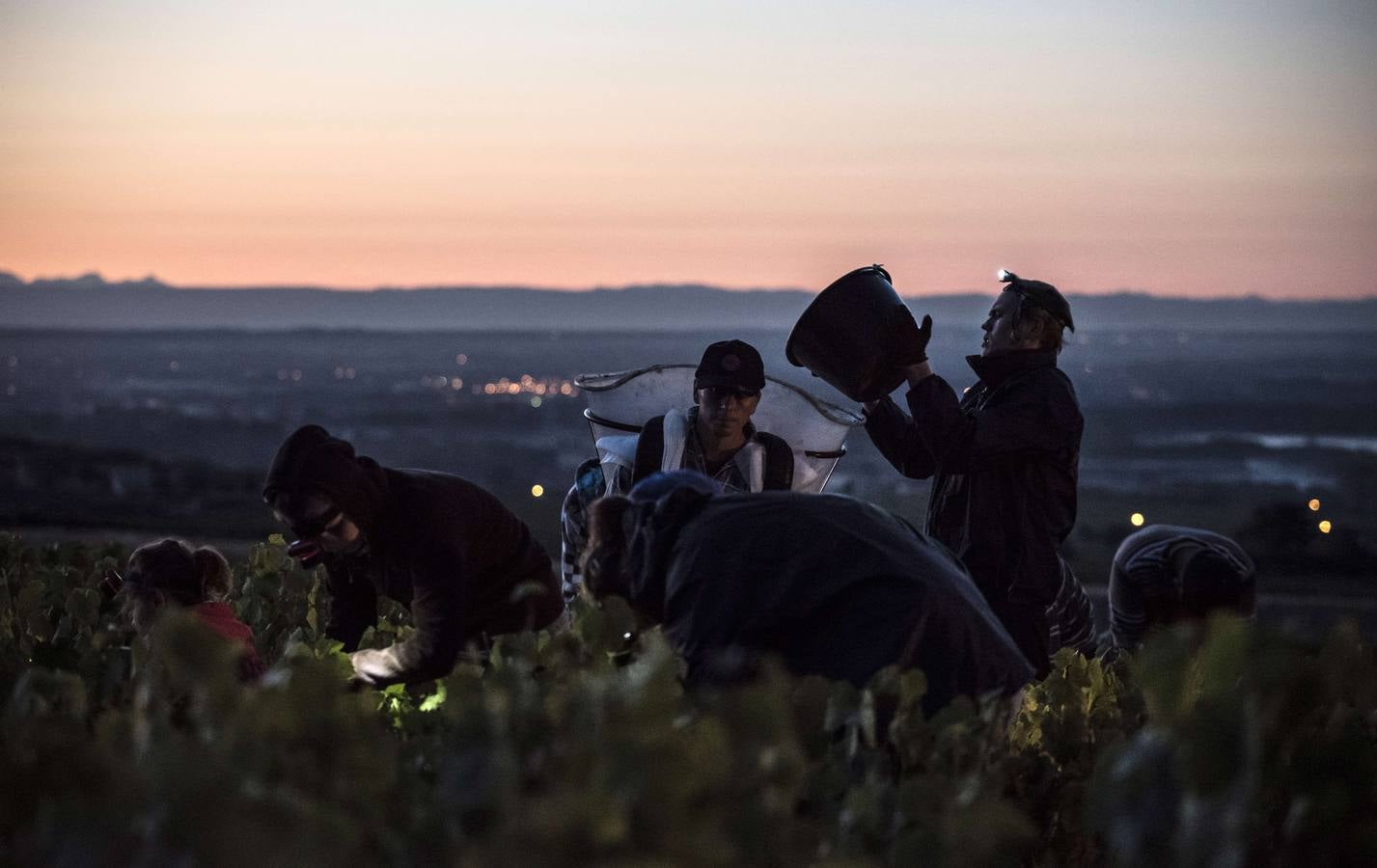 El frescor de la noche que da aroma al vino