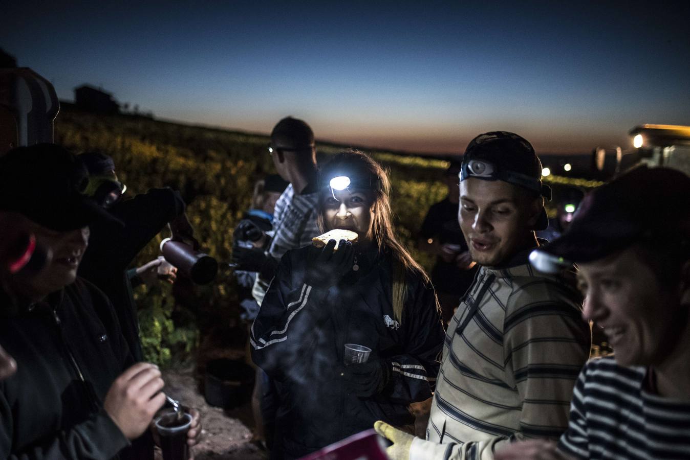 El frescor de la noche que da aroma al vino