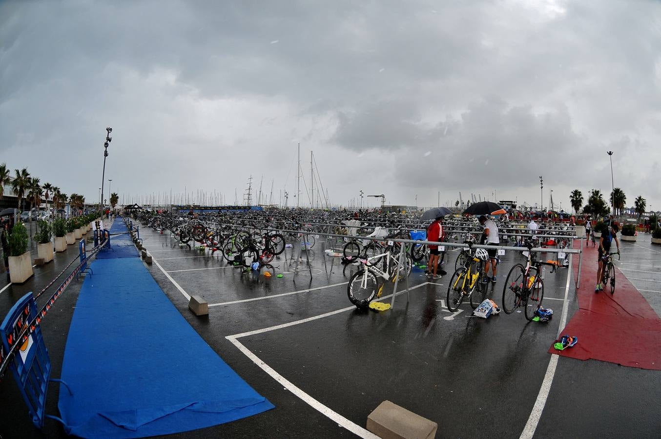 Búscate en Valencia Triatlón