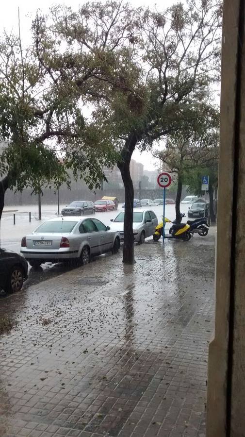 Una tromba agua anega garajes y sótanos y colapsa Alicante, San Juan, Mutxamel y Elche