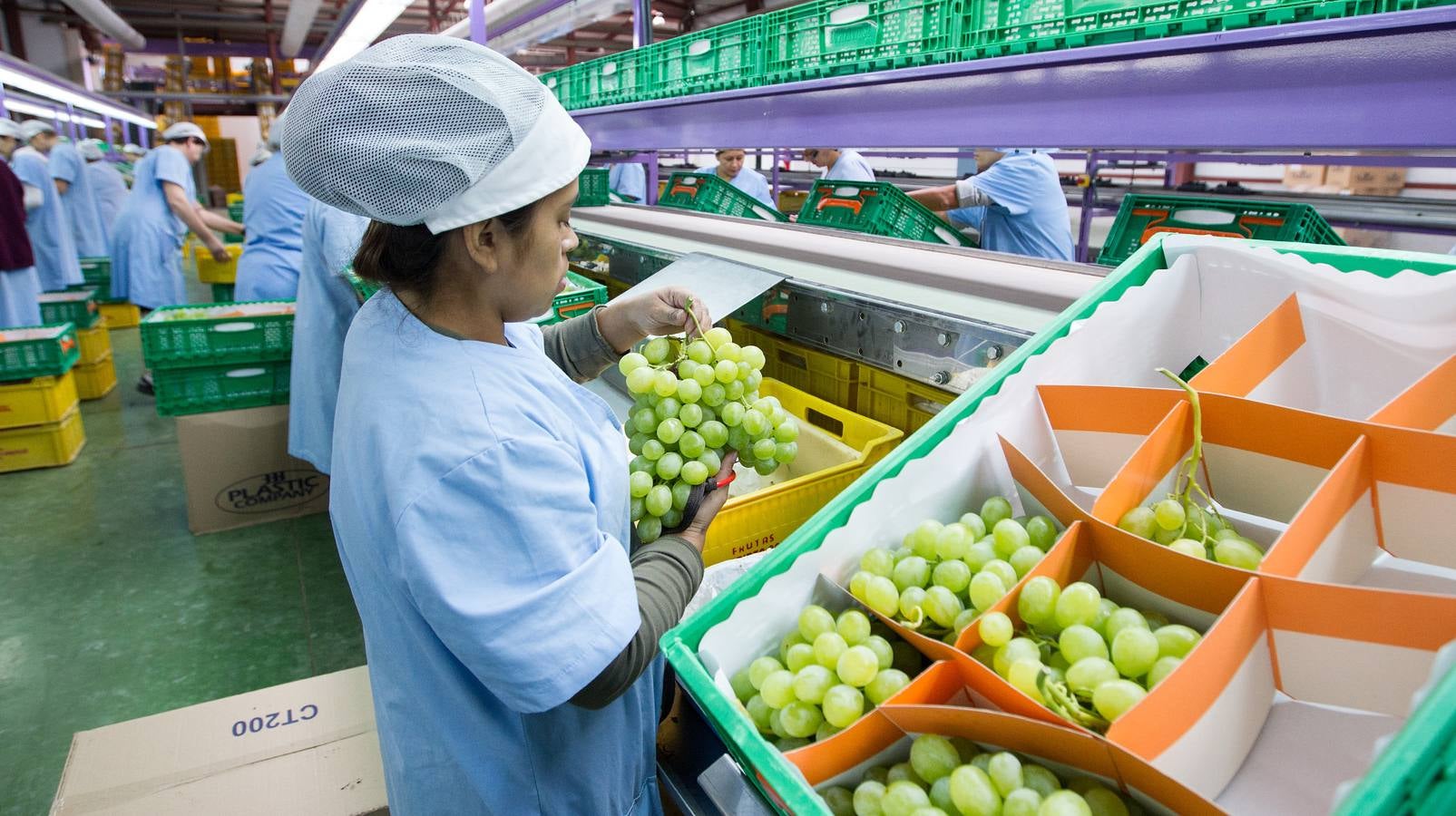 Mercadona afianza su relación con proveedores del sector primario en Alicante