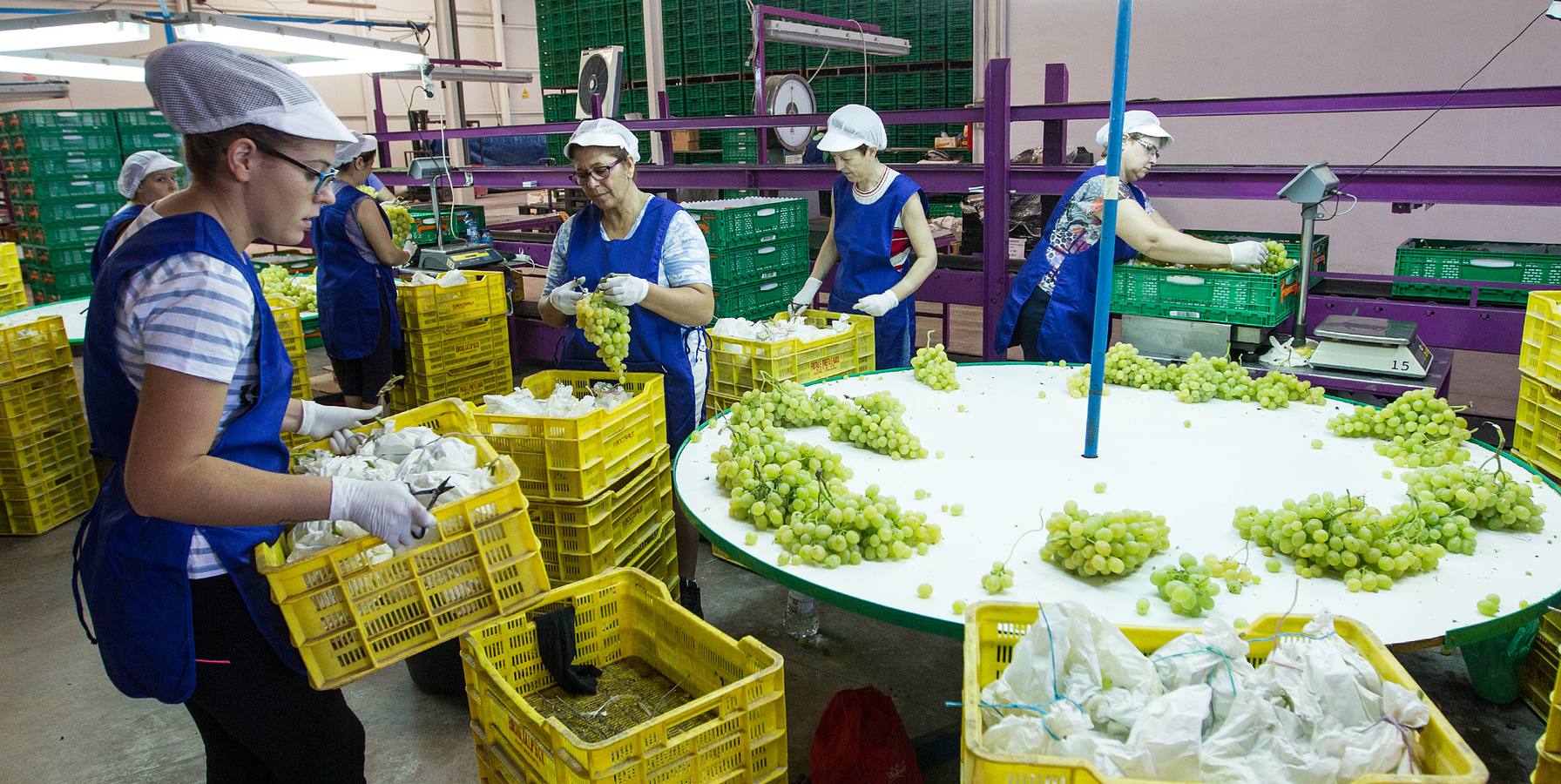 Mercadona afianza su relación con proveedores del sector primario en Alicante