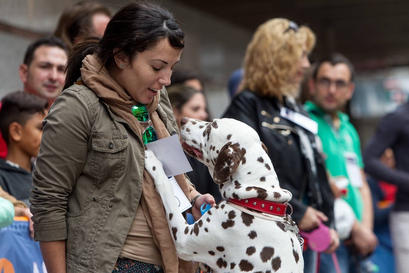 Desfile canino benéfico en El Corte Inglés