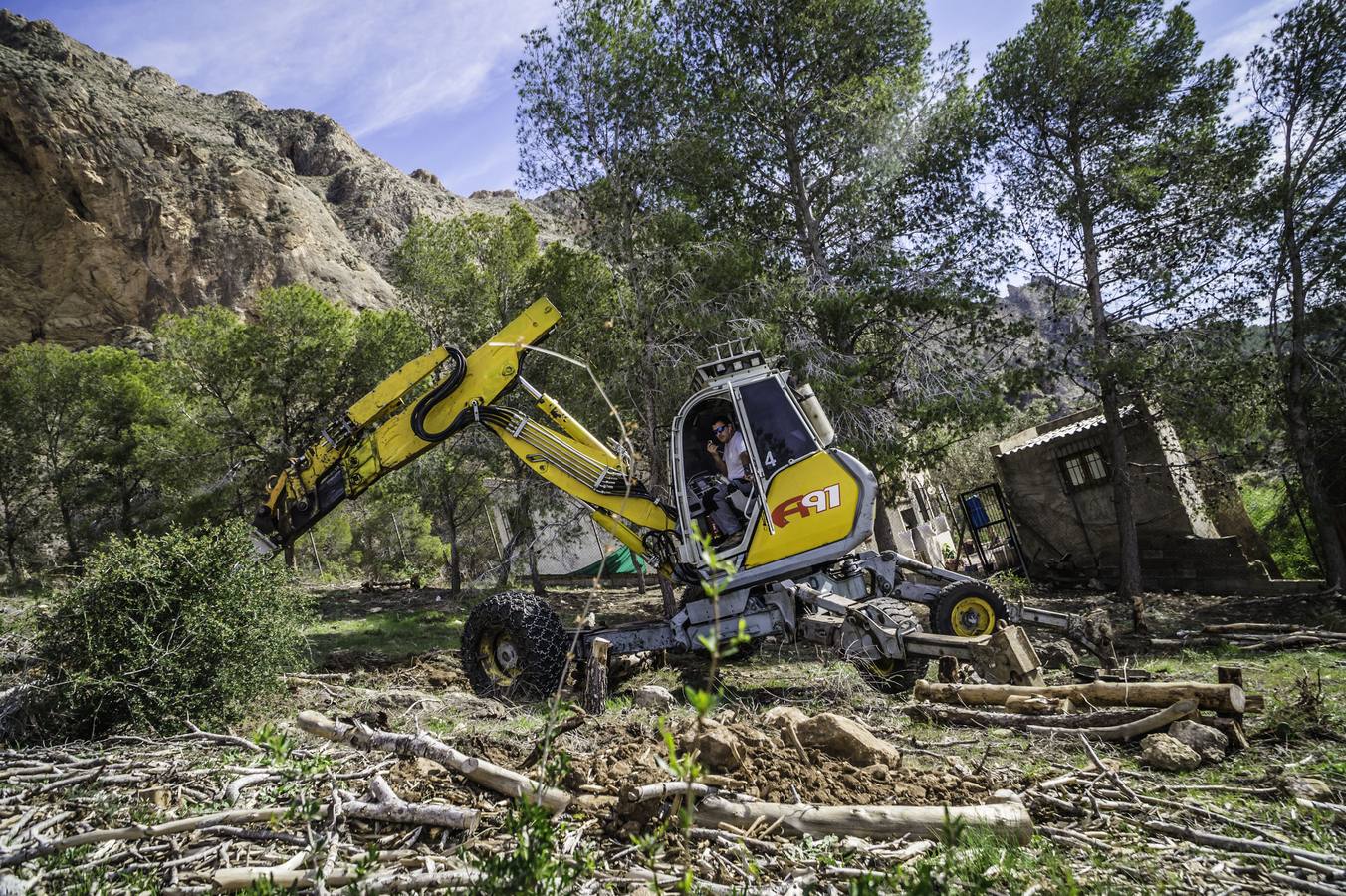 Un escavadora astillará todos los árboles arrasados por el tomicus