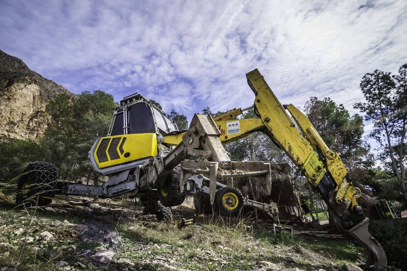 Un escavadora astillará todos los árboles arrasados por el tomicus