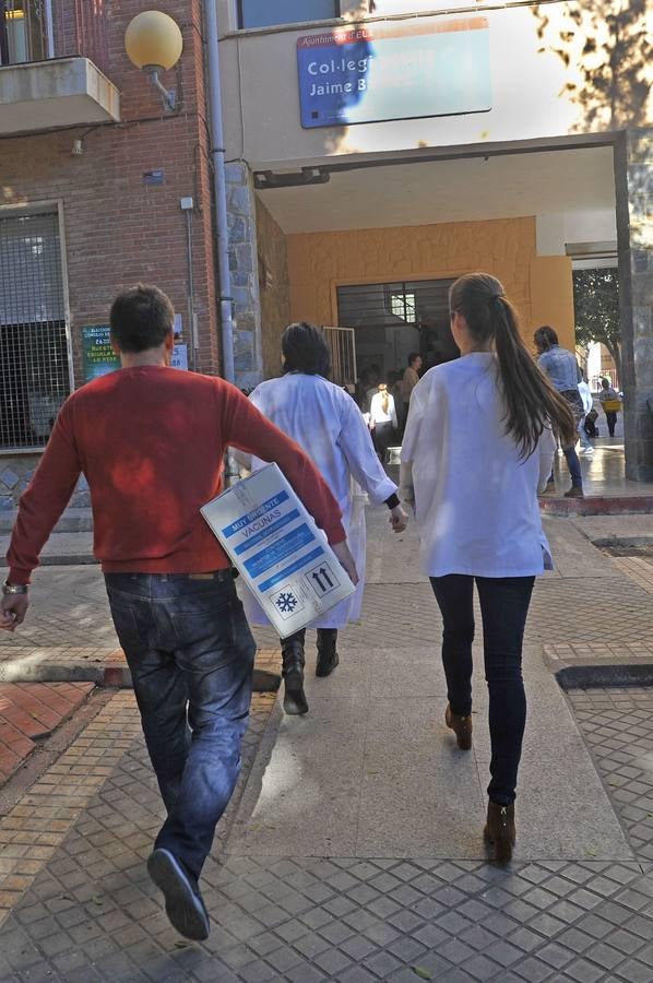 La Hepatitis A, protagonista en un colegio de Elche