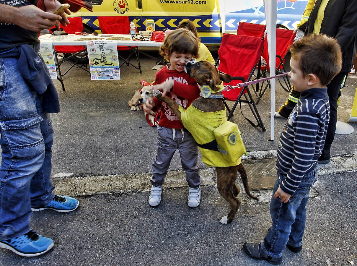 Cinco mil personas acuden a la jornada de recogida de juguetes en Alicante