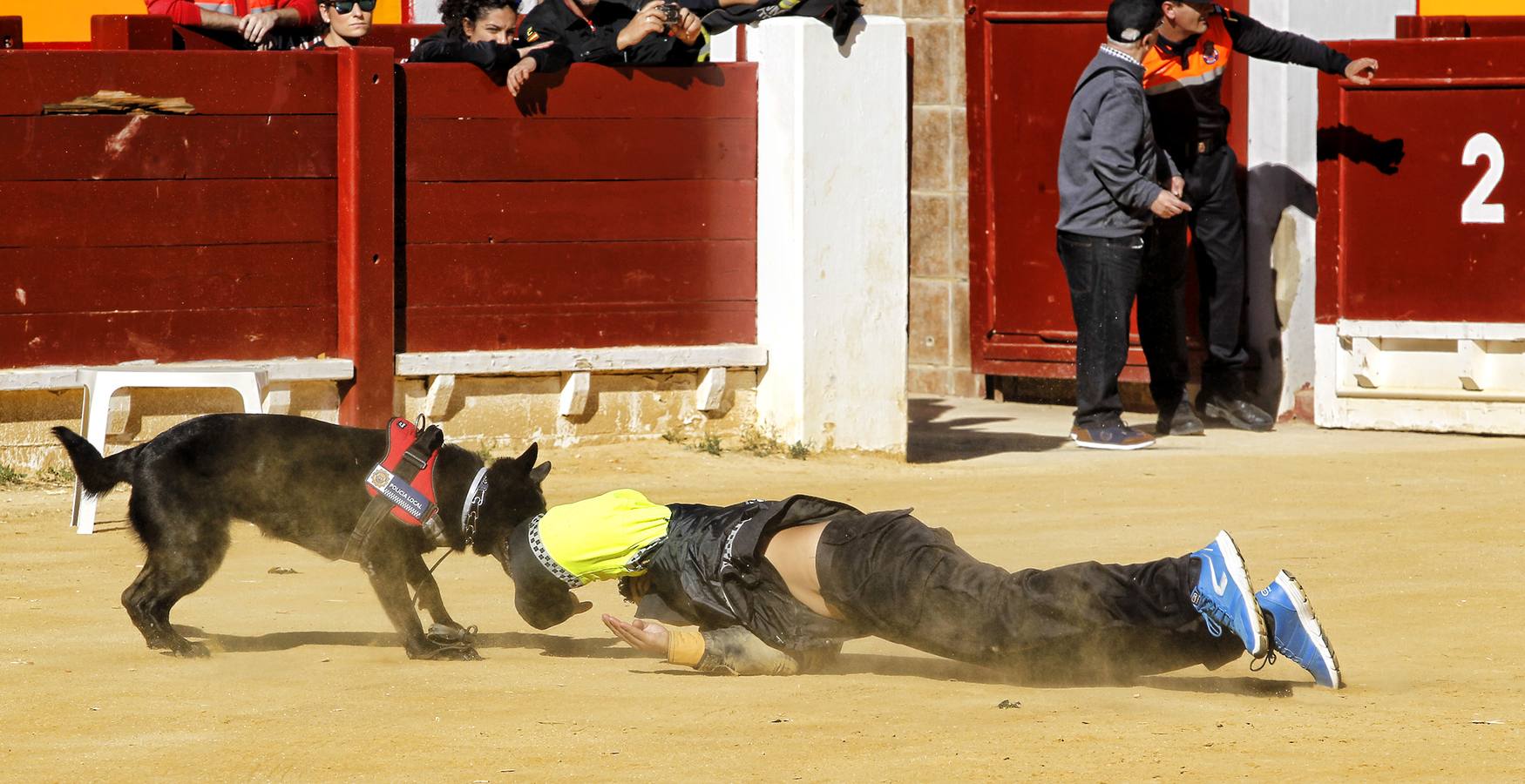 Cinco mil personas acuden a la jornada de recogida de juguetes en Alicante