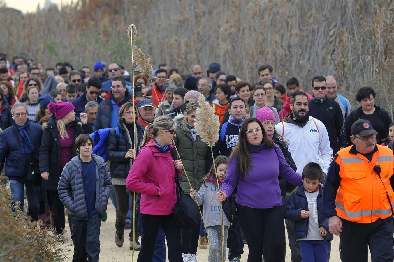 Romería de la venida de la Virgen