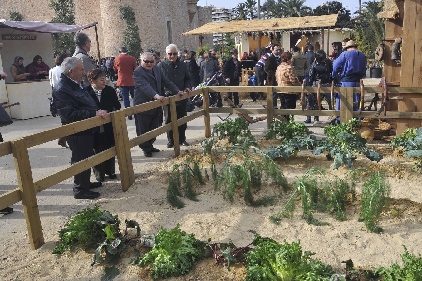 Belén viviente en Elche